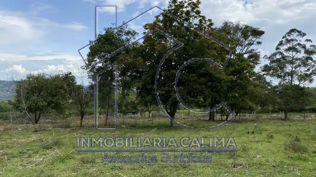 Lote San Jose